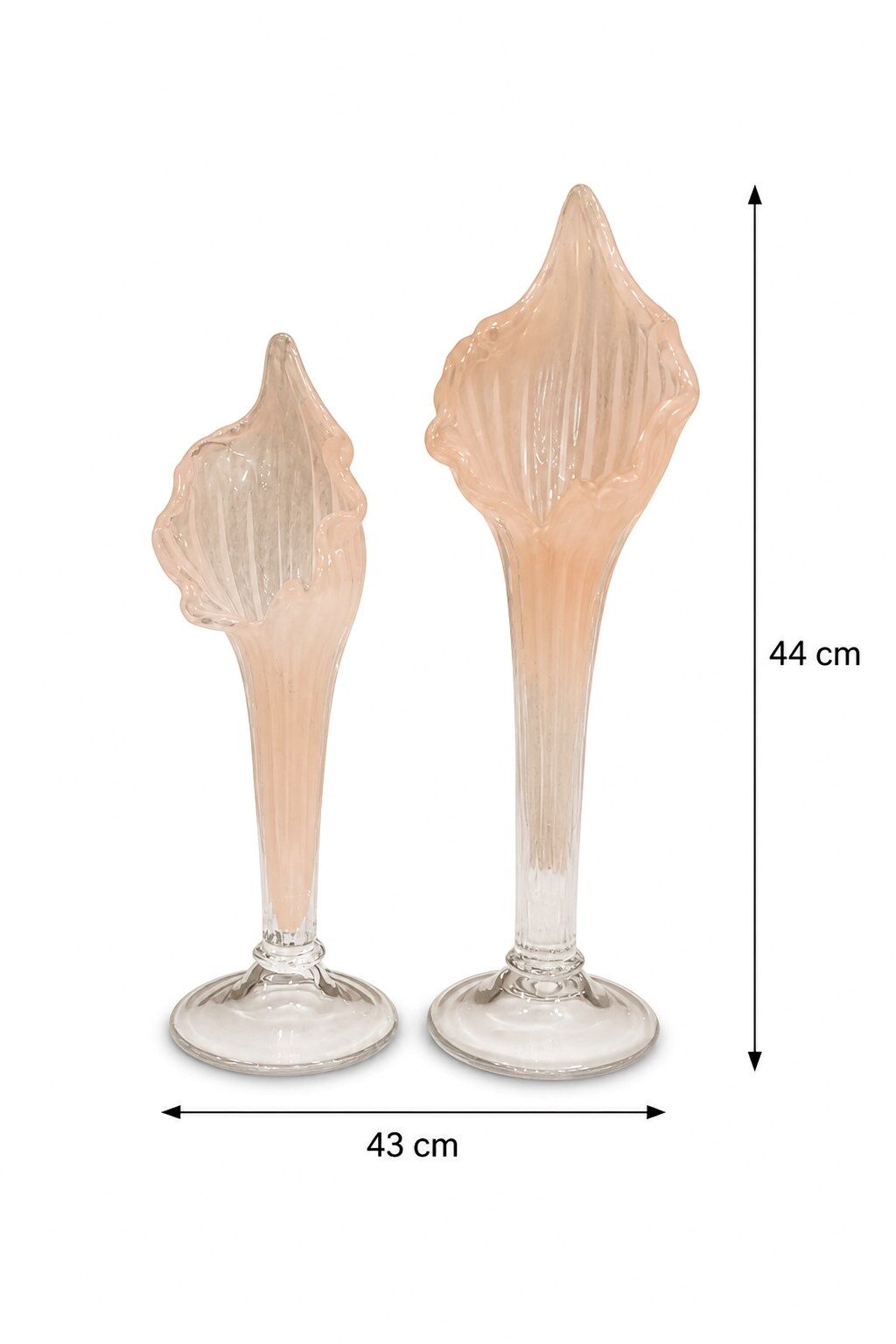 2Lİ CAM ZAMBAK SOMON 44x34 CM